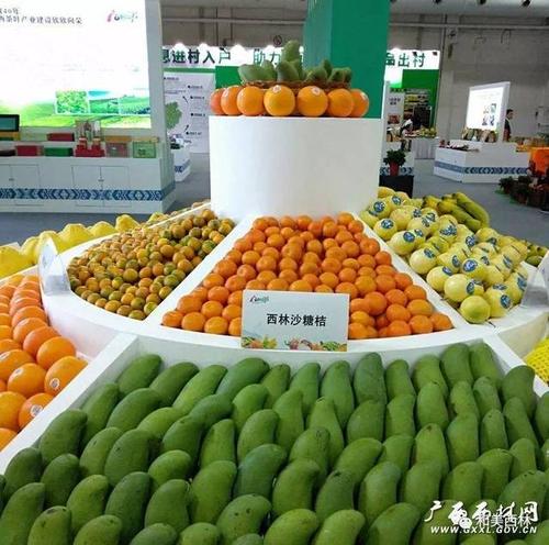 西林沙糖桔入选“广西好嘢”农业品牌产品，果品质与品牌力双双提升