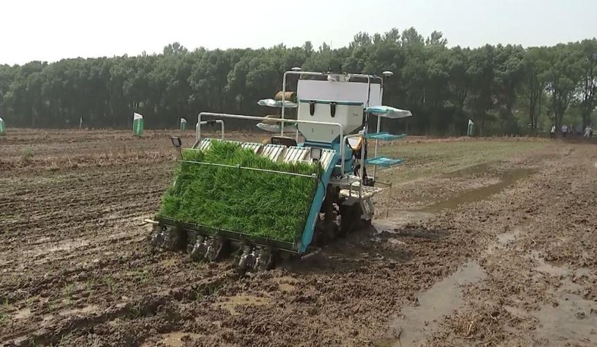 久富农机 以智能农机产品推进水稻全程机械化，为农业现代化注入强劲动力